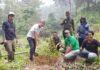 PT Gaia Eko Daya Buana Gelar Penghijauan di Hutan Sukamakmur Bogor