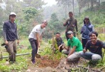 PT Gaia Eko Daya Buana Gelar Penghijauan di Hutan Sukamakmur Bogor