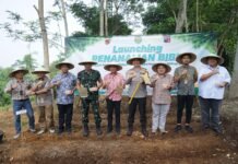 Optimalisasi Aset Pemkot untuk Ketahanan Pangan Kota Bogor