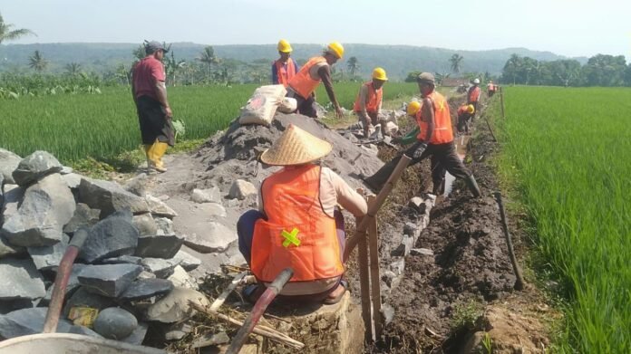 WhatsApp_Image_2024-11-18_at_21_05_47_aa64d0cd