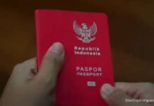 Mulai Desember 2024, Ditjen Imigrasi Terapkan E-Paspor 100 Persen Secara Bertahap