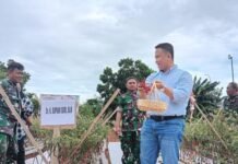 Supian Suri Apresiasi Urban Farming Kodim Depok, Dorong Depok Mandiri Pangan