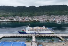 19 Desember 2024 Diprediksi Jadi Puncak Arus Mudik Laut Nataru