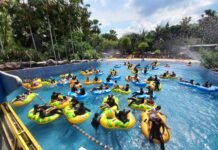 Libur Nataru, Tiket Masuk The Jungle Cuma 99 Ribu