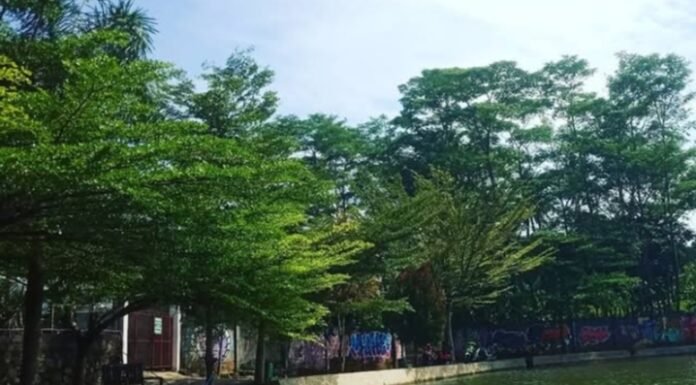 Menikmati Alam dan Ketenangan Situ Jatijajar, Destinasi Wisata Asri di Tengah Kota Depok Menikmati Alam dan Ketenangan Situ Jatijajar di Depok/(instagram/@situjatijajar)