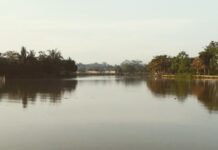 Situ Pengasinan: Destinasi Wisata Alam Seru dan Gratis di Depok