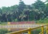 Keindahan Tersembunyi Situ Asih Pulo, Destinasi Wisata Alam yang Menenangkan di Depok