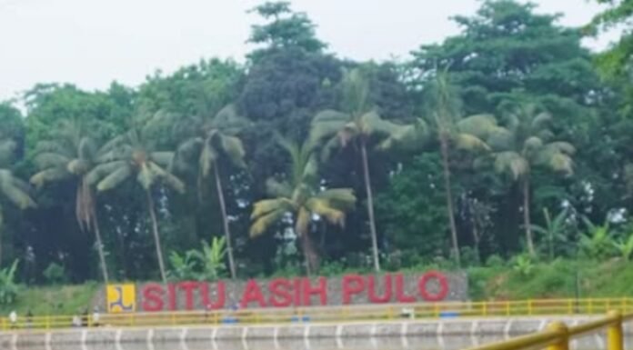 Keindahan Tersembunyi Situ Asih Pulo, Destinasi Wisata Alam yang Menenangkan di Depok