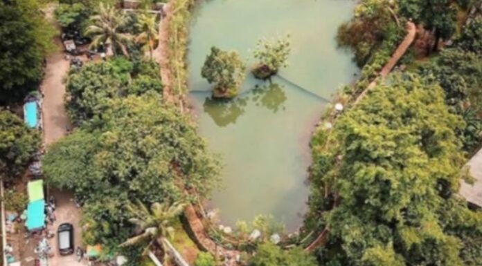 Taman Lembah Mawar: Destinasi Rekreasi Gratis dengan Nuansa Alam yang Memikat di Depok