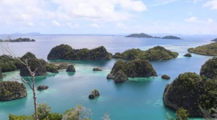 Raja Ampat, Surga Tersembunyi di Indonesia dengan Keindahan Alam yang Menakjubkan