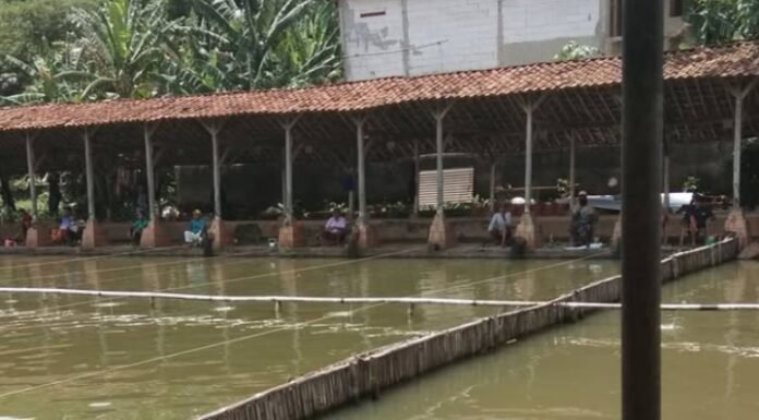 Nikmati Akhir Pekan Bersama Keluarga di Telaga Arwana, Tempat Wisata Alam di Depok