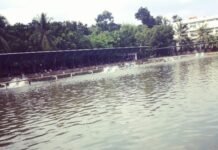 Nikmati Akhir Pekan Bersama Keluarga di Telaga Arwana, Tempat Wisata Alam di Depok