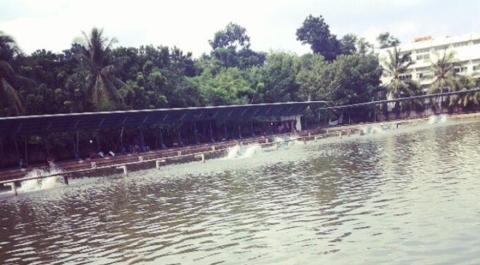 Nikmati Akhir Pekan Bersama Keluarga di Telaga Arwana, Tempat Wisata Alam di Depok