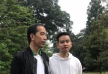 Jokowi, Gibran, dan Bobby Dipecat PDIP: Begini Reaksi Mereka