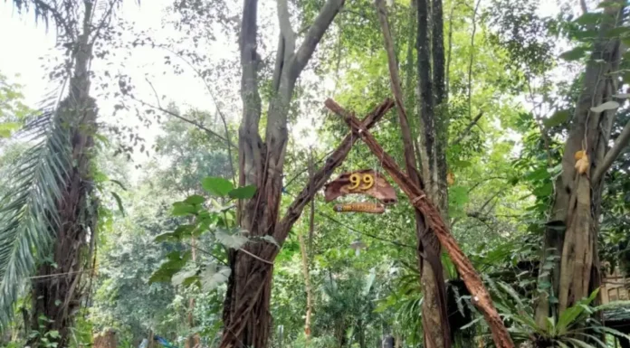 Kampung 99 Pepohonan, Wisata Asri dan Sejuk di Pinggiran Kota Depok