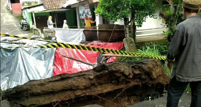 VideoCapture_20241212-133359