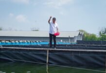 KKP Tebar Benih Ikan Nila Salin di Karawang, Dukung Revitalisasi Tambak Pantura