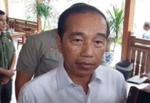 Jokowi Buka Suara Soal Status Keanggotaan di PDIP, Partainya Perorangan