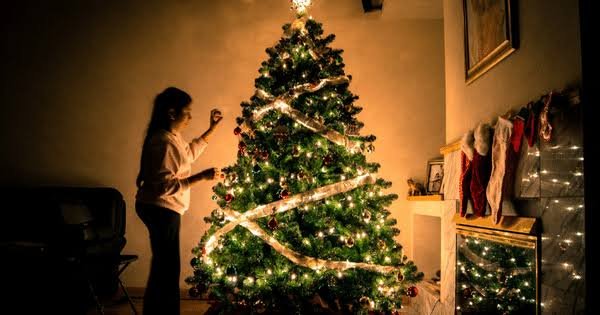 images - 2024-12-12T104405.506