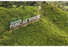 Wisata ke Puncak Bogor Tetap Ramai Meski Terjebak Macet Panjang