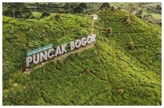 images - 2024-12-14T133032.416