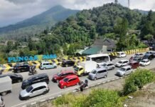 Libur Nataru 2025, Puncak Bogor Diprediksi Dikunjungi 1,5 Juta Wisatawan