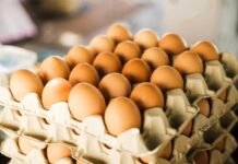 Telur Ayam Mahal! Pemerintah Siapkan Strategi Atasi Lonjakan Harga