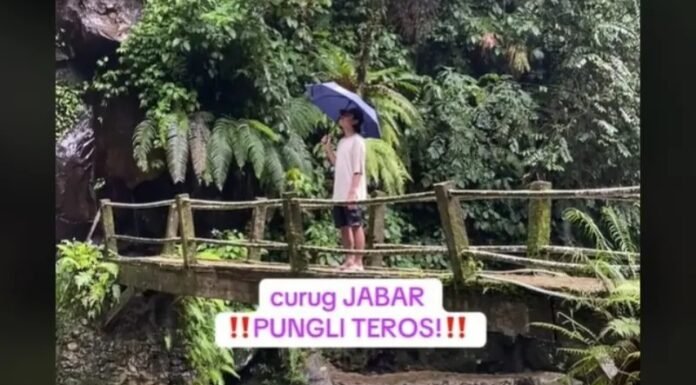 Viral! Dugaan Pungli di Curug Ciparay Bogor, Wisatawan Kecewa