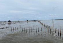 Misteri Pagar Laut di Tangerang, KKP Selidiki Identitas Pemilik