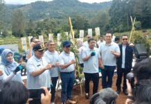 Pulihkan Hulu Ciliwung: 2.450 Pohon untuk Jakarta Berkelanjutan