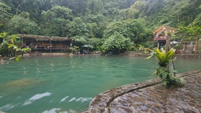 VideoCapture_20250101-171759