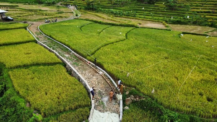 dji_fly_20250120_141456_117_1737357511963_photo_optimized