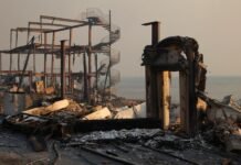 Kebakaran Hutan Pacific Palisades: Ancaman Serius bagi Kawasan Kelas Atas Los Angeles