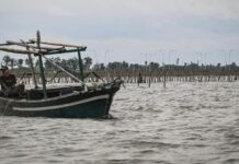 Enam Pejabat BPN Tangerang Dicopot akibat Skandal Sertifikat Pagar Laut