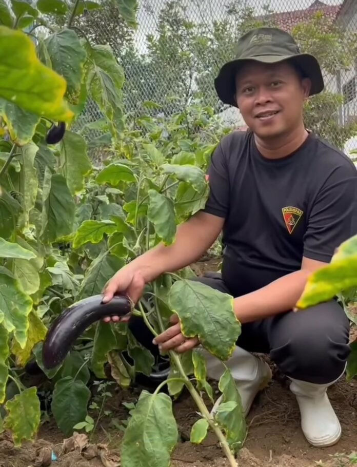 Screenshot_20250206_145104_Instagram