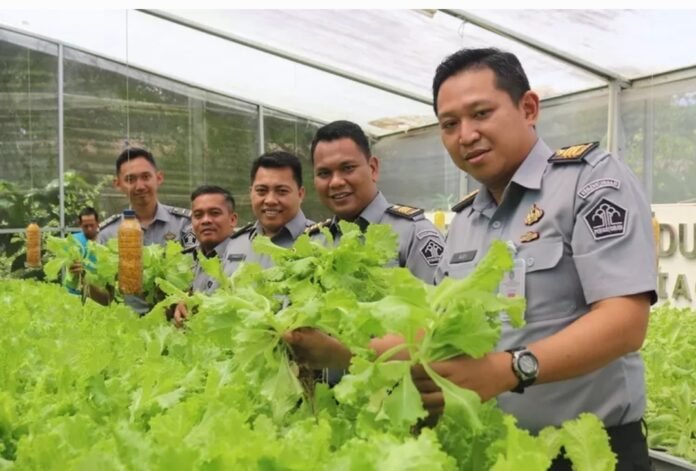 Screenshot_20250226_073336_Gallery