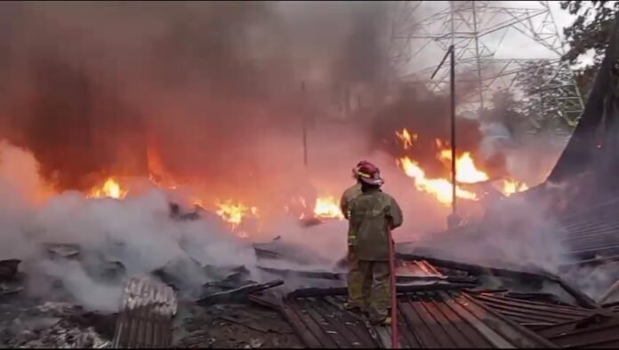 VideoCapture_20250205-081318