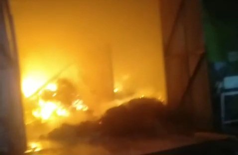 VideoCapture_20250216-031814