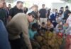 Pj. Bupati Bogor Puji Festival Durian Leuwiliang, Dorong Kesejahteraan Petani dan UMKM Festival Durian Leuwiliang Bogor. Foto: Istimewa