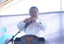 Mentan Tetapkan Harga Minimal Singkong Rp 1.350 per Kg, Impor Dibatasi