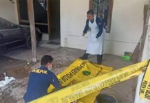 Detik-Detik Penemuan Kerangka Manusia Dalam Mobil di Gresik kerangka manusia