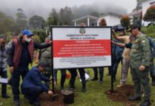 Kementerian Kehutanan Segel Vila Nakal di Hulu DAS Ciliwung Kementerian Kehutanan