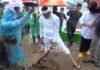 Pekerja Proyek Diminta Tanam Pohon, Dedi Mulyadi: Saya yang Bayar Dedi Mulyadi