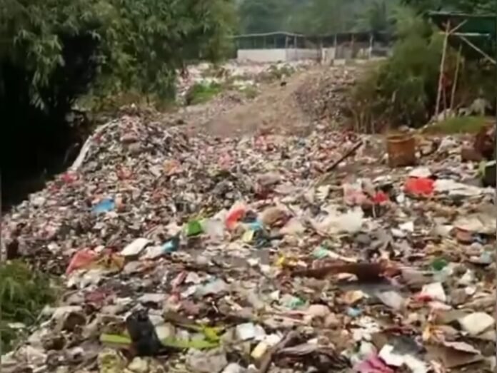 Screenshot_20250312_212514_Instagram