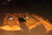 Tragedi Penggerebekan Sabung Ayam di Way Kanan: Kapolsek dan Dua Anggota Polisi Tewas Ditembak OTK Tragedi di Way Kanan: Kapolsek dan Dua Anggota Polisi Gugur Saat Penggerebekan Sabung Ayam. Polisi terus menyelidiki insiden penembakan oleh OTK. Foto: Istimewa