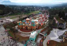 Satpol PP Bongkar 50 Bangunan Wisata Ilegal di Puncak, Gubernur Jabar Tanam Pohon