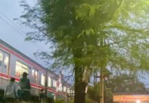 Minibus Terseret KRL di Perlintasan Kebon Pedes, Kereta Anjlok Tak Ada Korban Jiwa