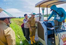 Panen Raya Serentak, Wali Kota Dedie Rachim Dukung Ketahanan Pangan Bersama Presiden Wali Kota Bogor, Dedie A. Rachim, bersama Forkopimda dan kelompok tani saat melakukan panen raya padi menggunakan mesin Crown Combine Harvester di IP2TP Muara Lanbow, Kota Bogor, Senin (7/4/2025). Foto: Istimewa
