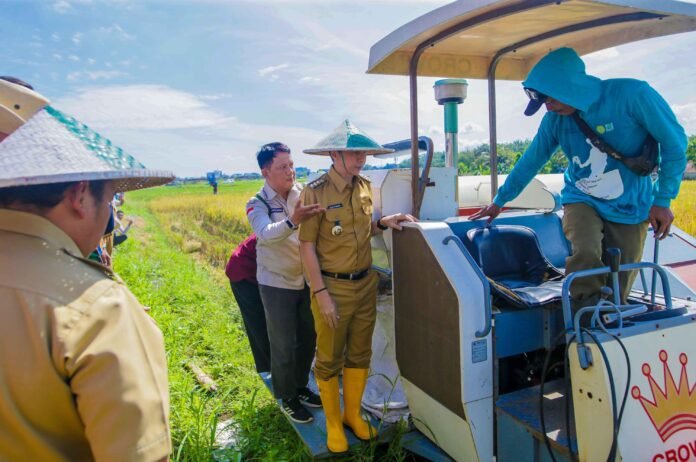 WhatsApp Image 2025-04-07 at 17.13.58 Wali Kota Bogor, Dedie A. Rachim, bersama Forkopimda dan kelompok tani saat melakukan panen raya padi menggunakan mesin Crown Combine Harvester di IP2TP Muara Lanbow, Kota Bogor, Senin (7/4/2025). Foto: Istimewa