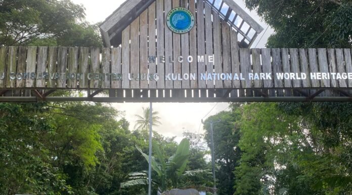 Komunitas Masyarakat Transportasi Jelajahi Ujung Kulon: Touring Sekaligus Belajar Konservasi Rombongan Komunitas Masyarakat Transportasi berfoto bersama di Ujung Kulon, Sabtu (3/5/2025). Foto: Harnas.id